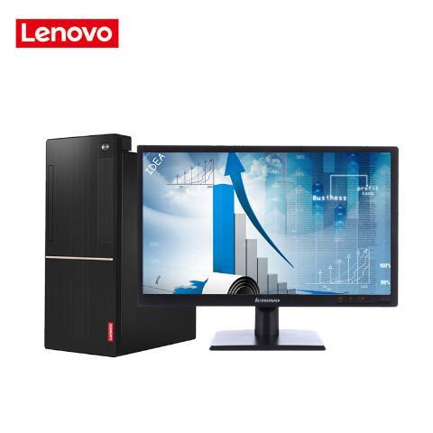 紫黑粗大肏联想（Lenovo）扬天M6201C 商用台式机(I3-6100 4G 1T  DVD  2G独显  21寸)